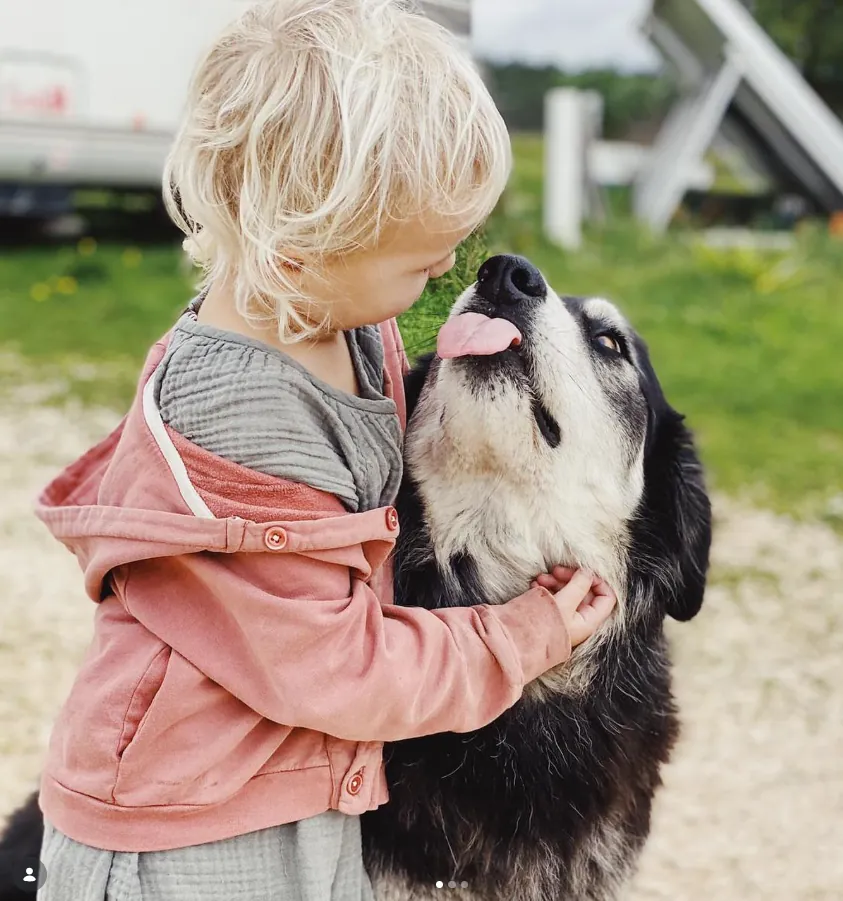 A child and the farm dog